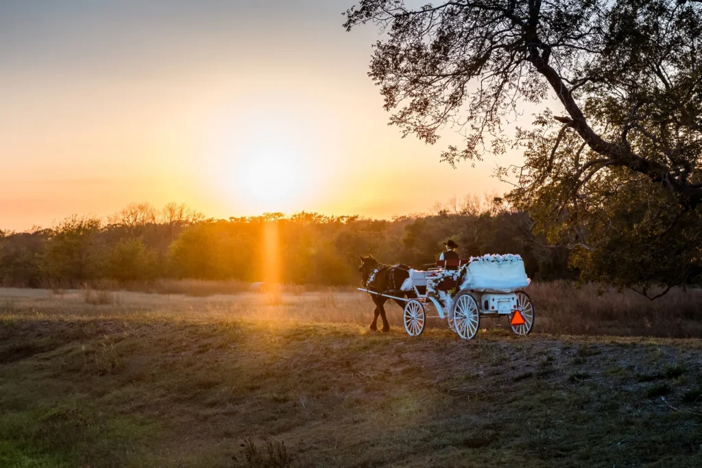 Horse-drawn carriage decorated for a wedding at sunset.